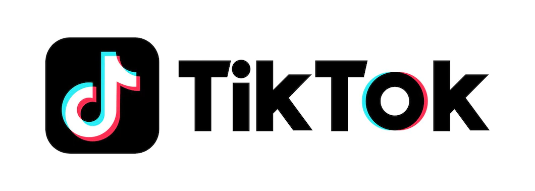 Simak, Cara Mudah Filter Rotoscope TikTok